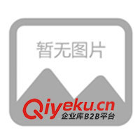 供應(yīng)廣東東莞電子廠防偽標(biāo)簽(圖)